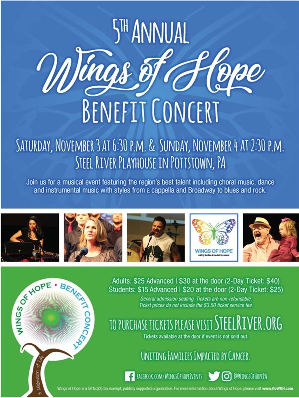 5th Annual Wings of Hope Benefit Concert image