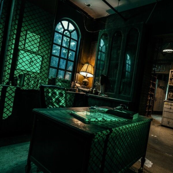 Live Streaming Investigation - Eloise Asylum image