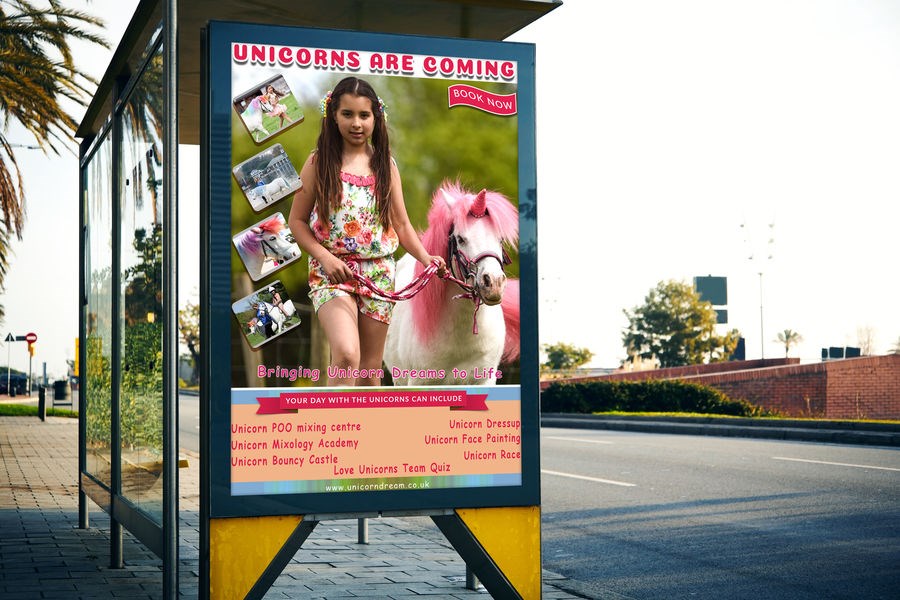 Birmingham Unicorn Experience image