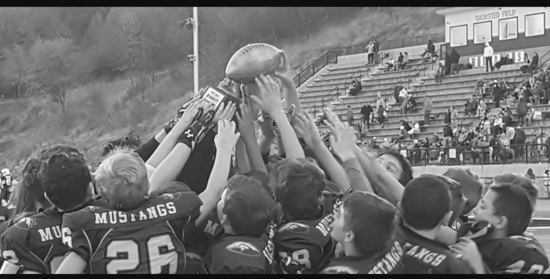 Argonaut Jr. Mustangs Football and Cheer Kickoff image