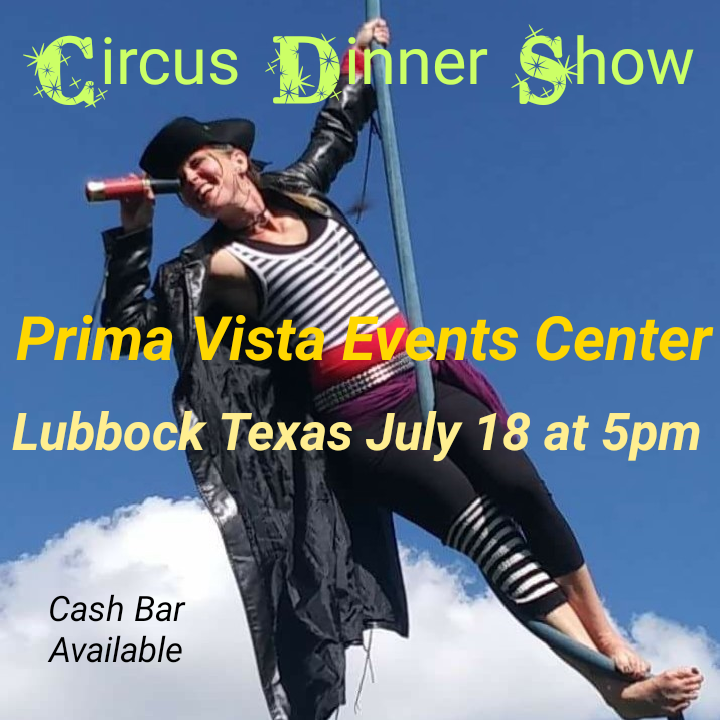CIRCUS DINNER SHOW image