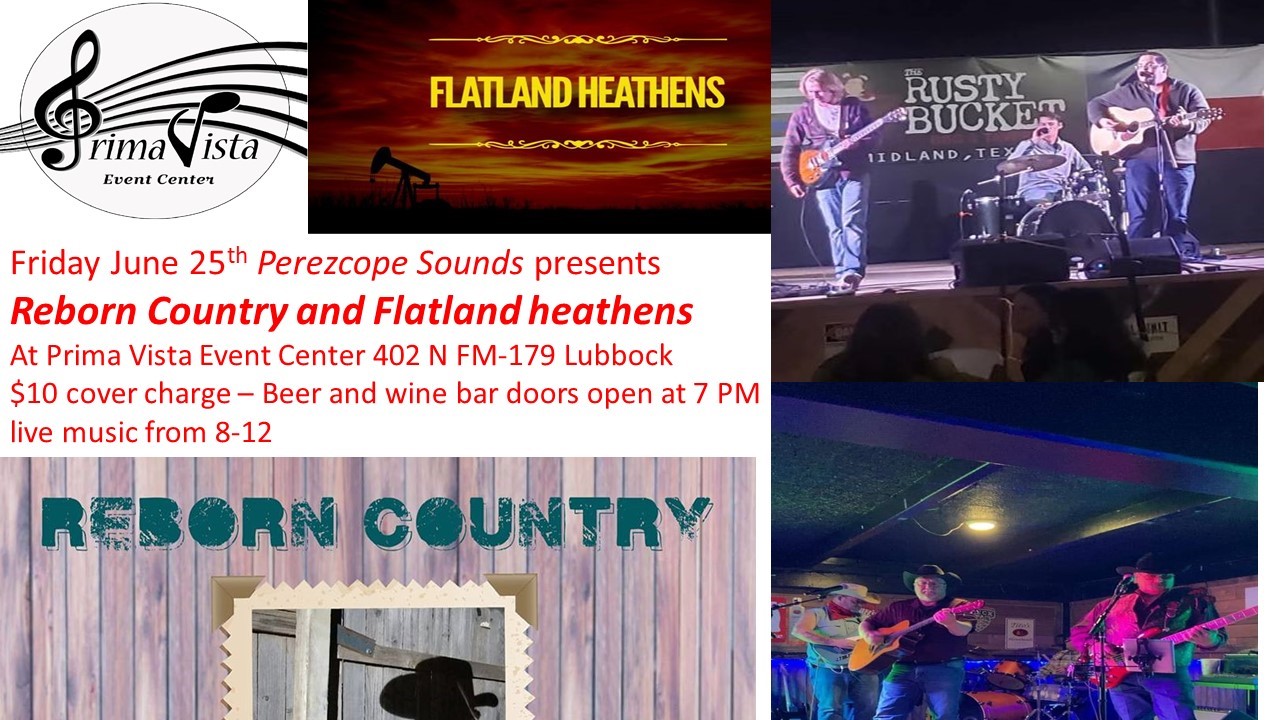 Flatland Heathens/Reborn Country image