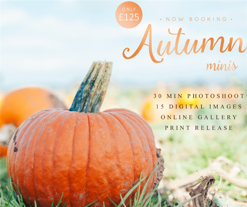 Pumpkin Photography Shoot