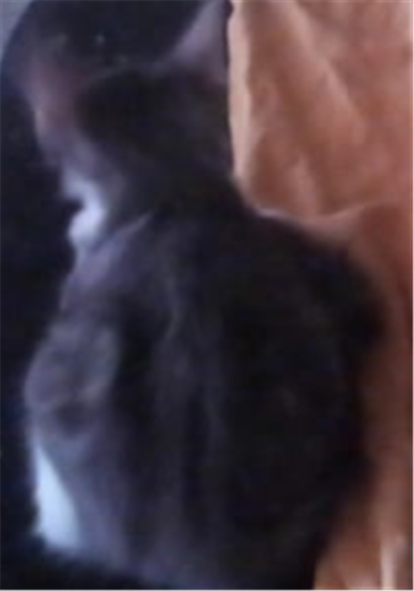 Columbia City Nutcracker