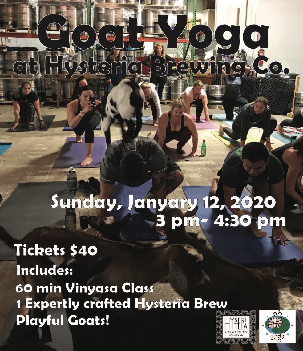 Goat Yoga at Hysteria Brewing image