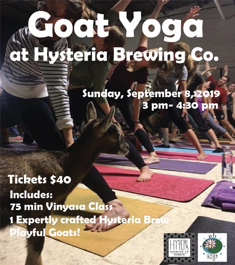 Goat Yoga at Hysteria Brewing