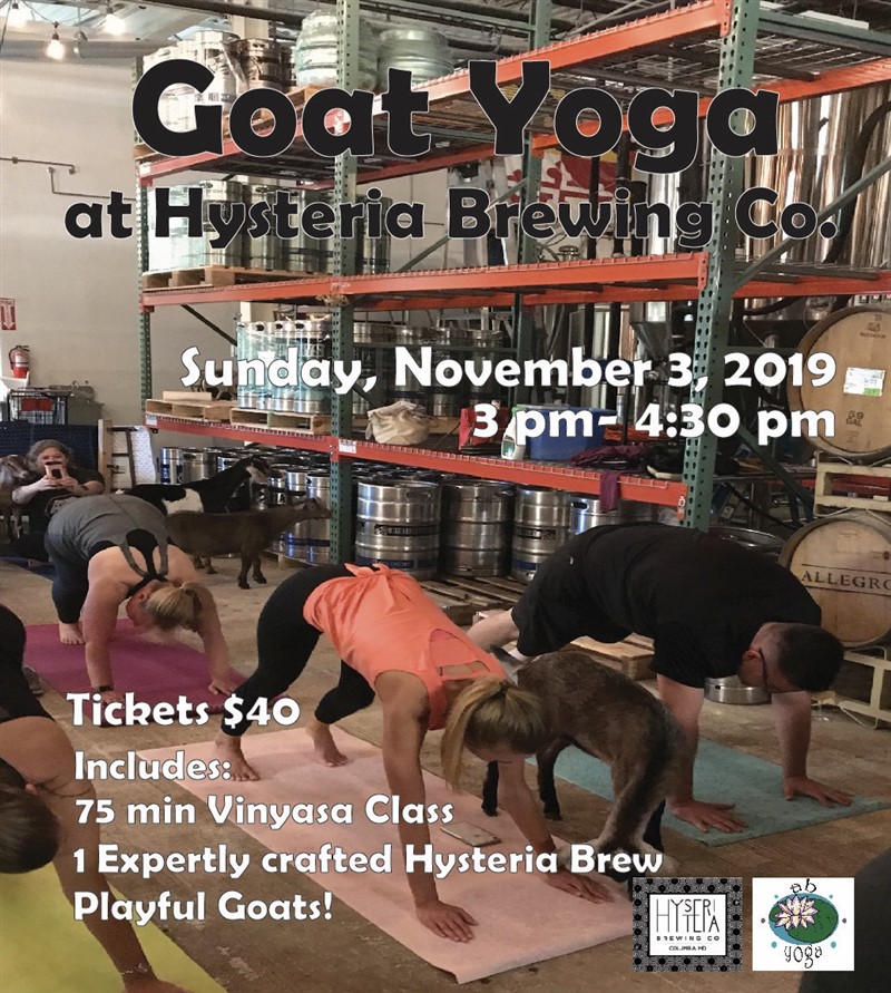 Goat Yoga at Hysteria Brewing