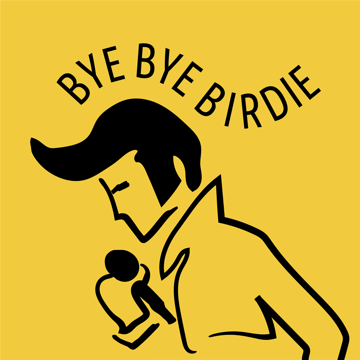 Bye Bye Birdie image