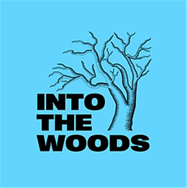 Into The Woods image