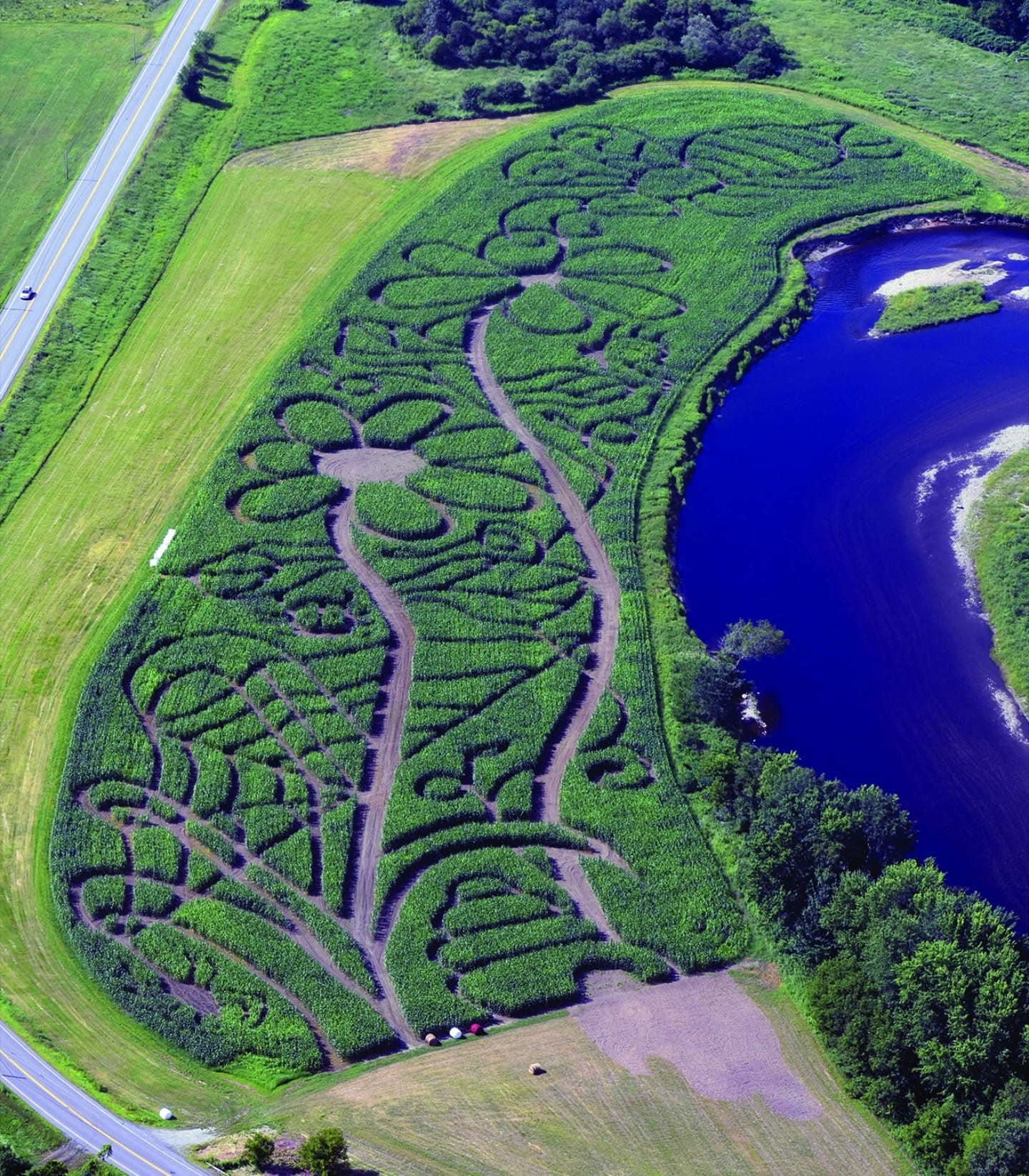 Corn Maze image