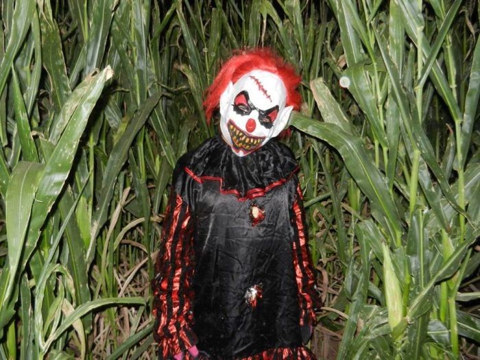 HAUNTED Maze  on oct. 31, 00:00@Collins Farm - Buy tickets and Get information on Collins Farm Corn Maze 