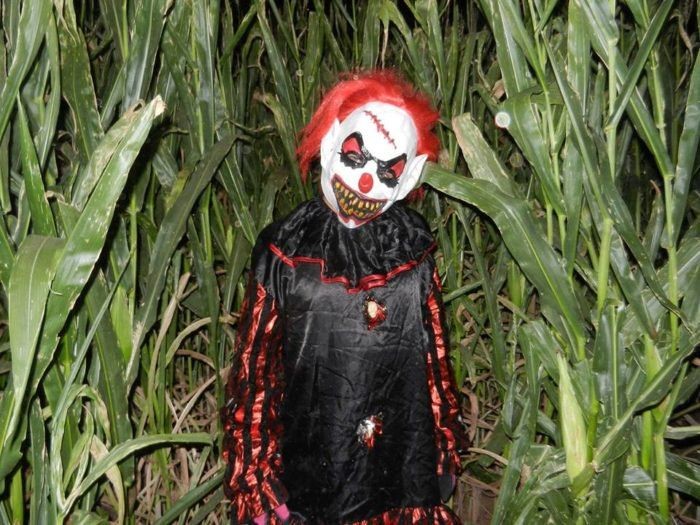 HAUNTED Maze image