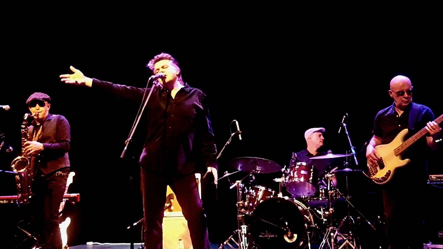 THE BLOW MONKEYS image