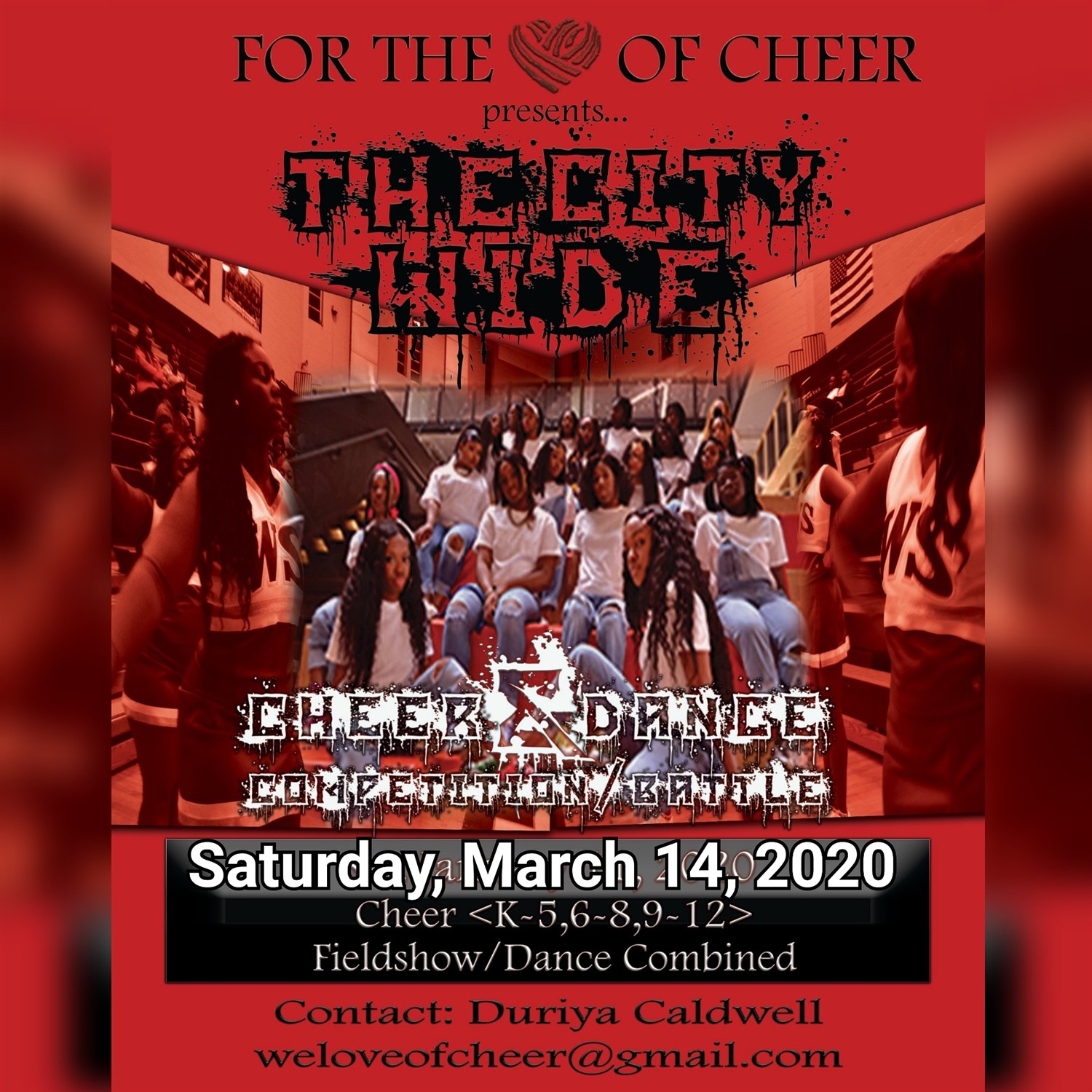 For The Love of Cheer image