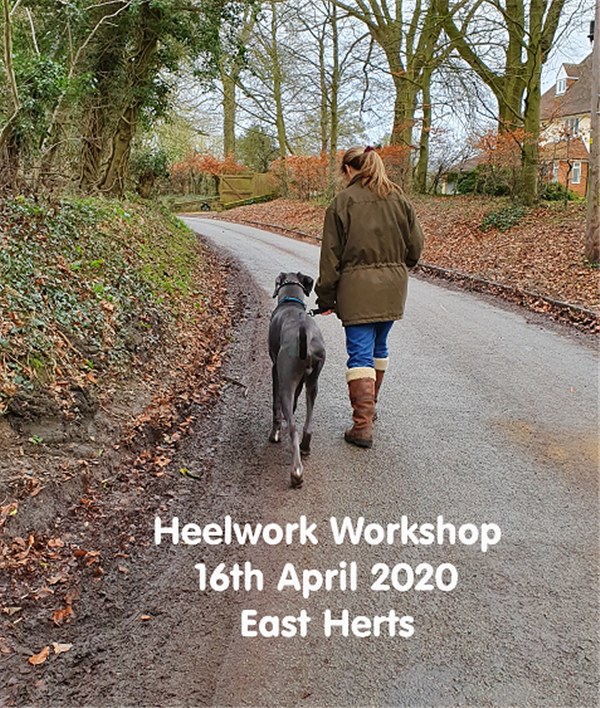 Heelwork Workshop image