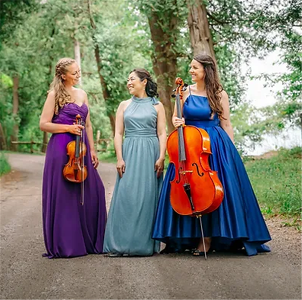 Champlain Trio - Otter Creek Music Festival image