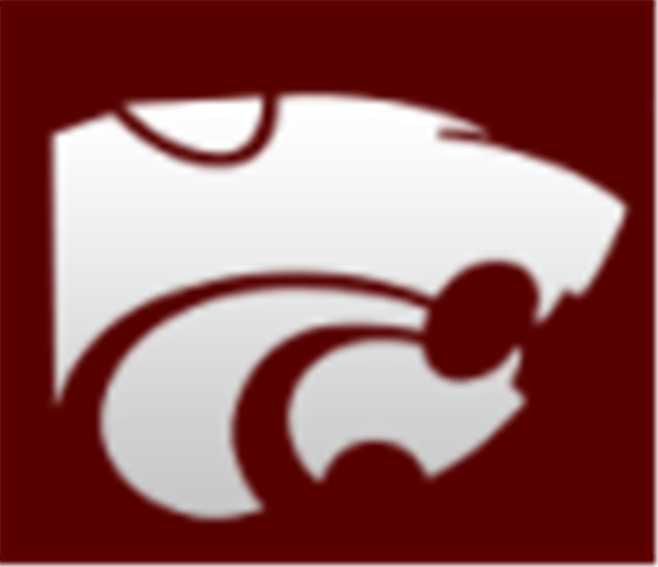 Whitehouse Bi-District Volleyball Playoffs image
