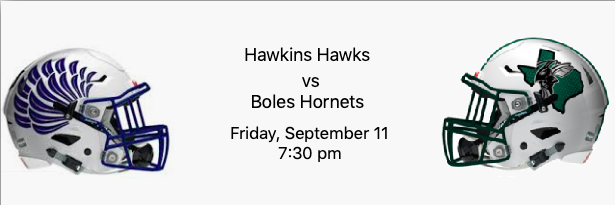 Hawkins Hawks vs Boles Hornets