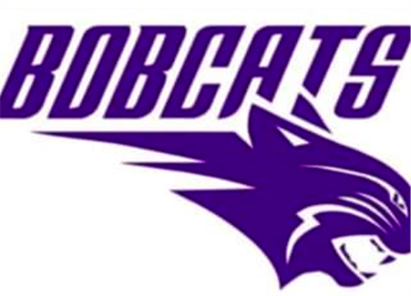 Hallsville Bi-District Volleyball Playoffs