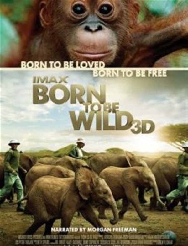 Get Information and buy tickets to IMAX - Born to be Wild 3D Documentary on worldgolfimax.com