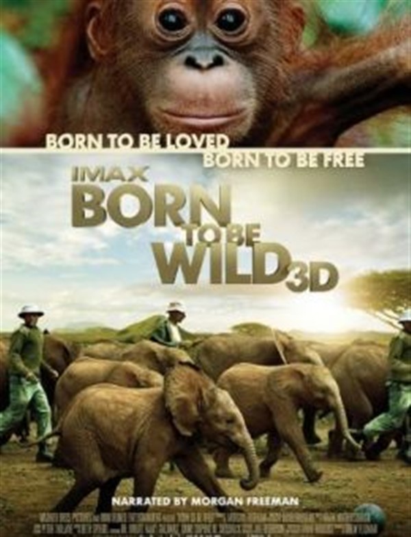 IMAX - Born to be Wild 3D