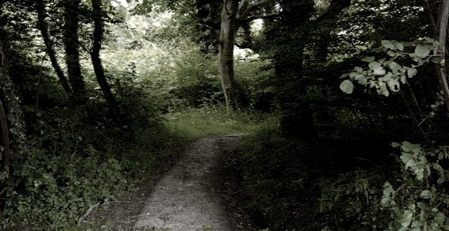 !!HALLOWEEN SPECIAL!! - CLAPHAM WOODS PARANORMAL INVESTIGATION image