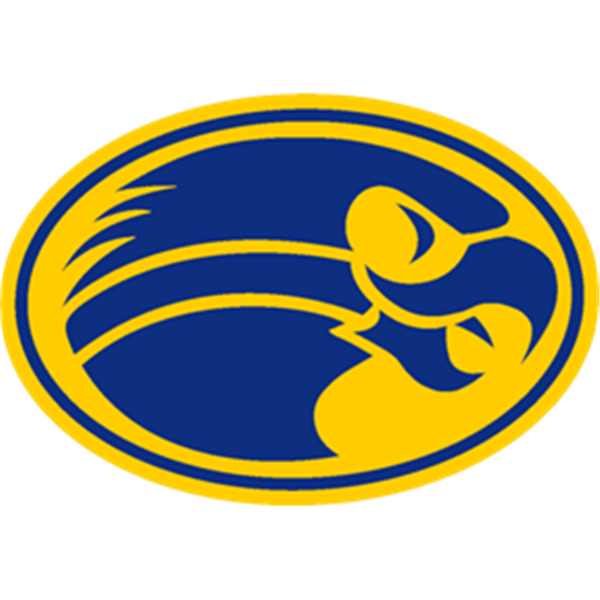 Southern Sports | Football vs. Manchester Hawks