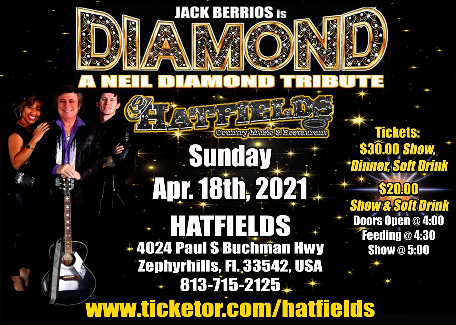 Neil Diamond Tribute Show image