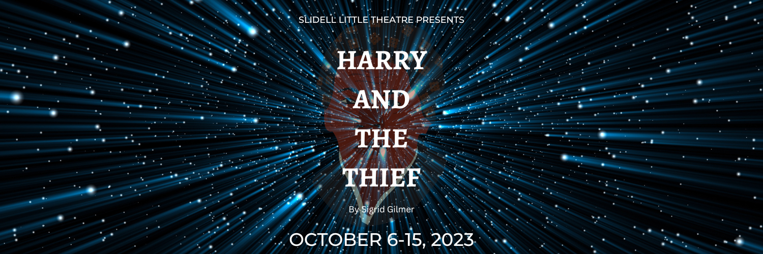 Harry and the Thief image