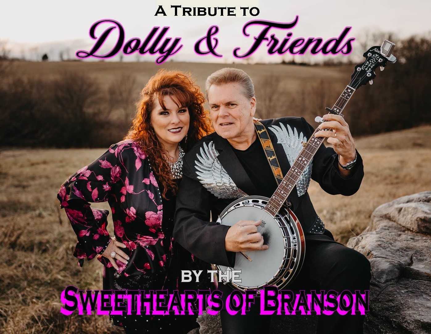 A Tribute To Dolly and Friends image