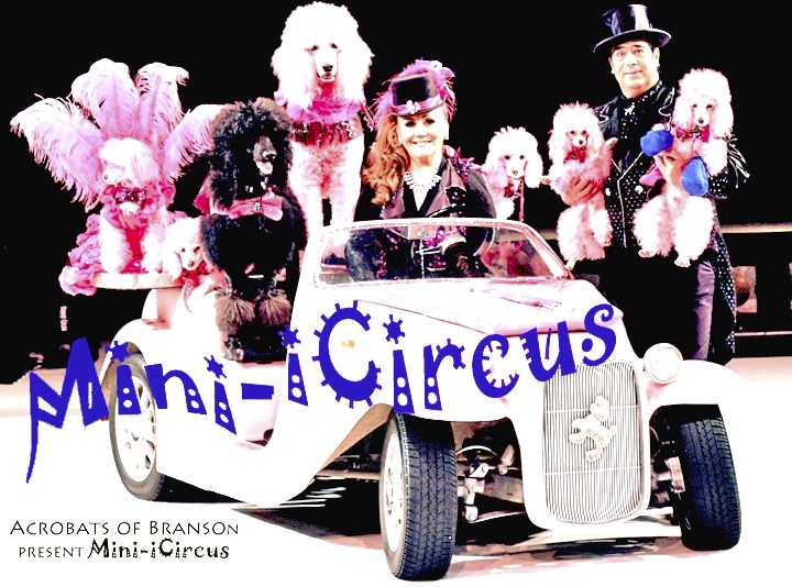 Acrobats of Branson Present MINI iCircus (Archived)