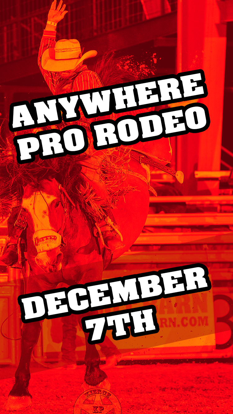 ANY RODEO image