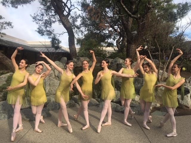 Ballet in Bloom image