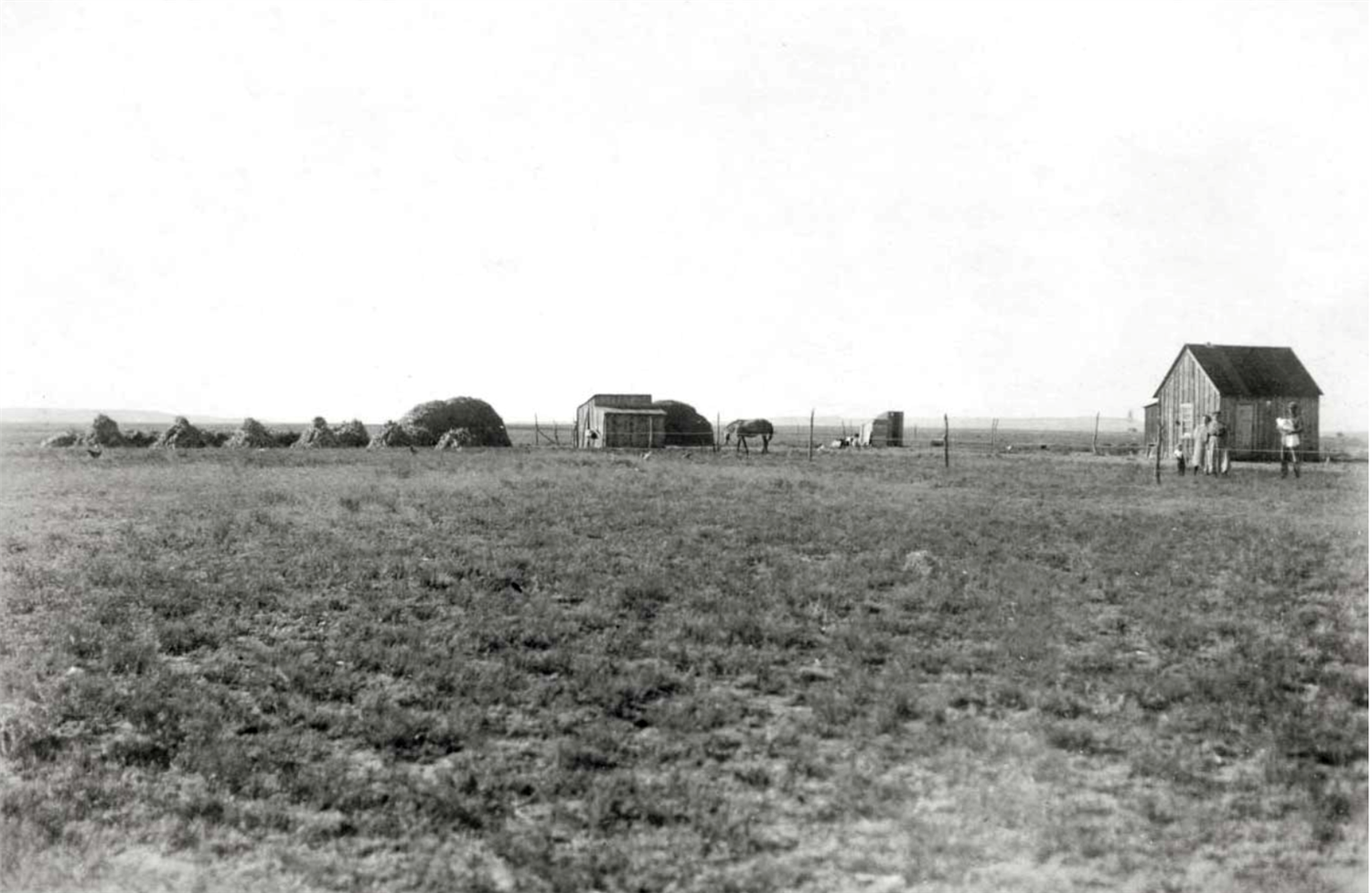The Tender Land image