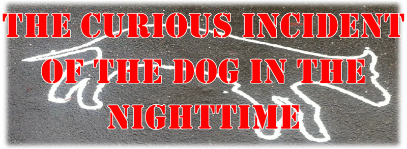 SDHS Drama Club Presents