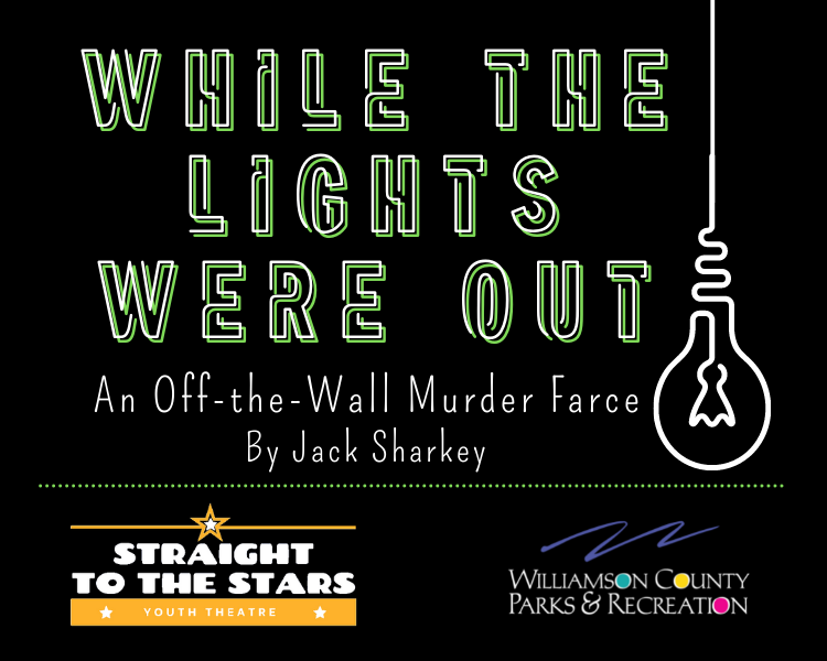 While the Lights Were Out image