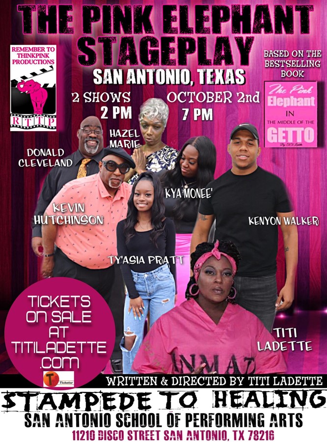 The Pink Elephant Stage Play