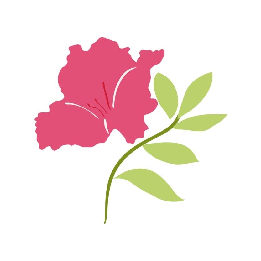 Miss Azalea Pageant May 7th! image