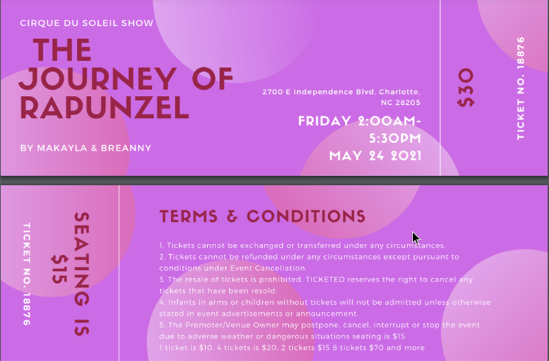 Cirque du Soleil Show