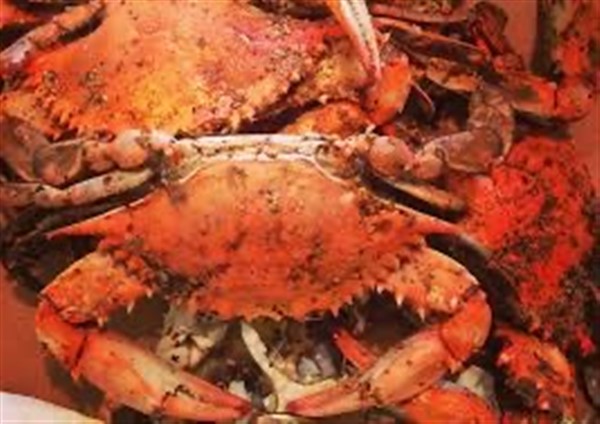 Summer Jam Crab Feast