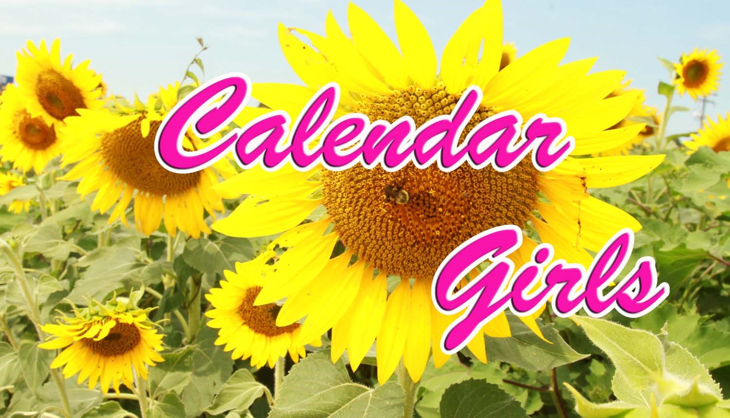Calendar Girls (Archived) image