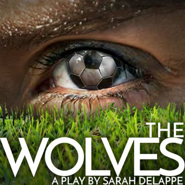 The Wolves image