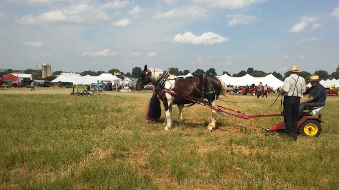 Bus 1: Saturday Horse Progress Days 2025 image