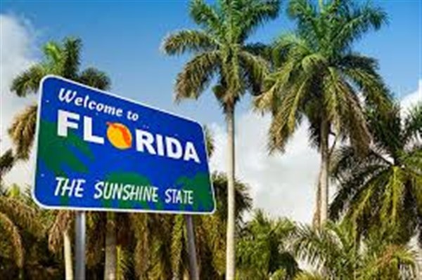Amelia Island, At Augustine, & Jacksonville, FL Jan 20-28, 2024 image