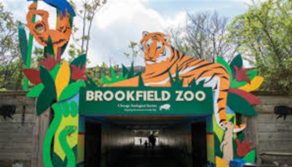 Brookfield Zoo (Sept. 27, 2025) image