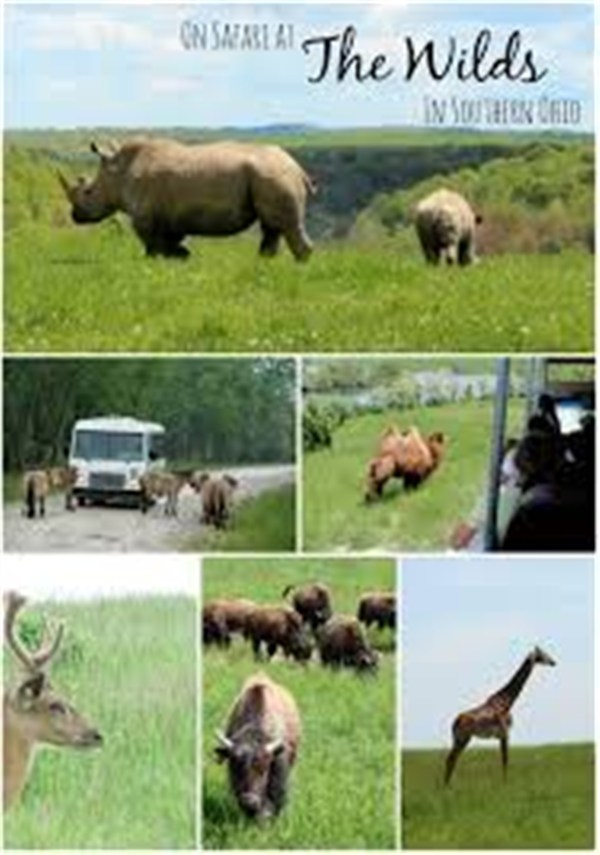 The Wilds Safari Park image