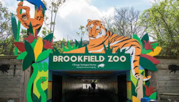 Brookfield Zoo image