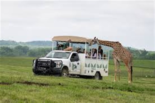 The Wilds Safari Park
