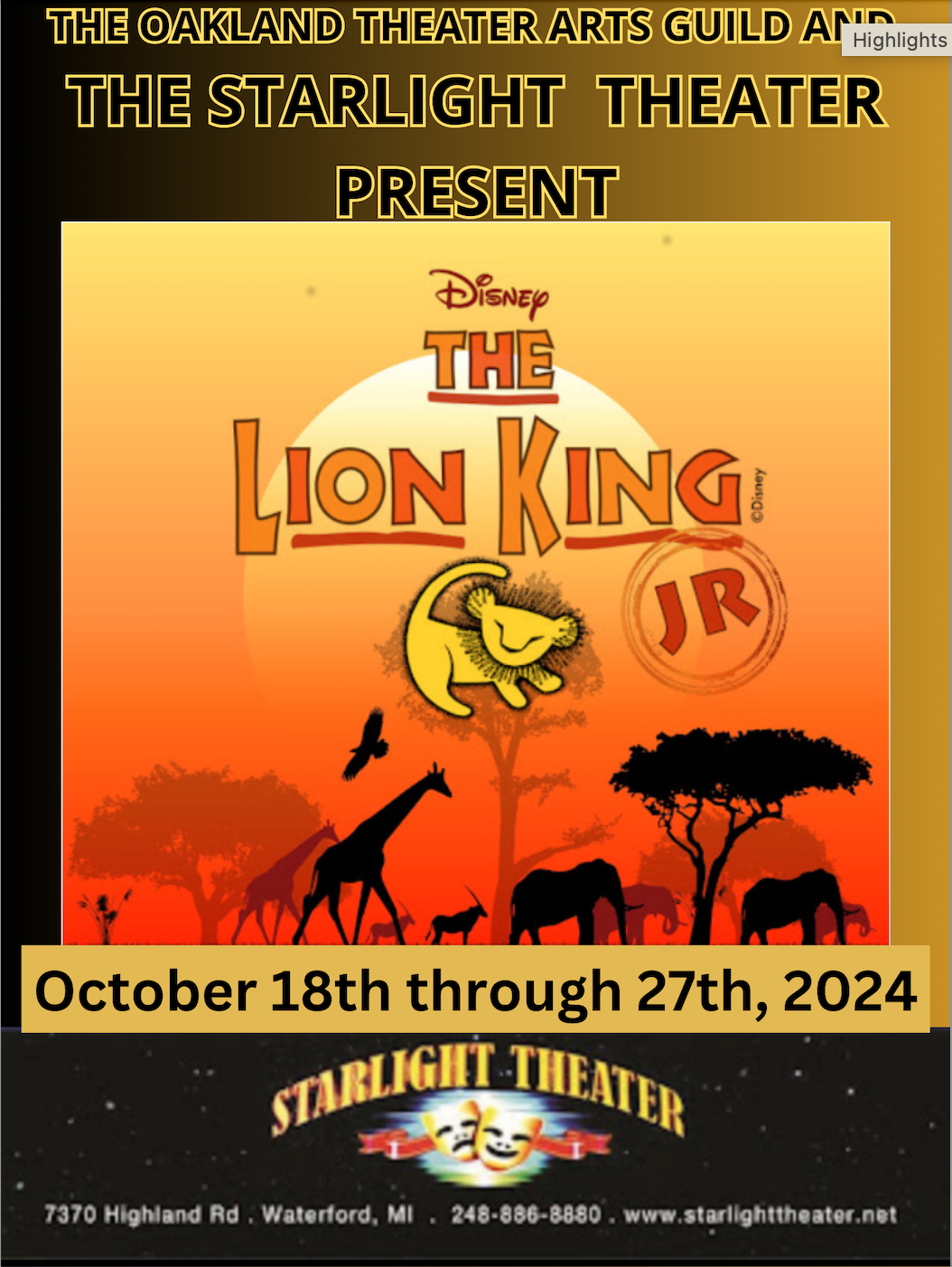 The Lion King Jr. image
