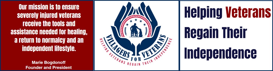 VIllagers For Veterans image